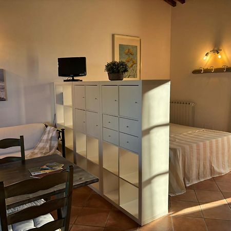 Casa "Ale" Con Piscina Comune E Bellissimo Giardino A 5 Minuti Dal Mare Cecina (Livorno) Bagian luar foto