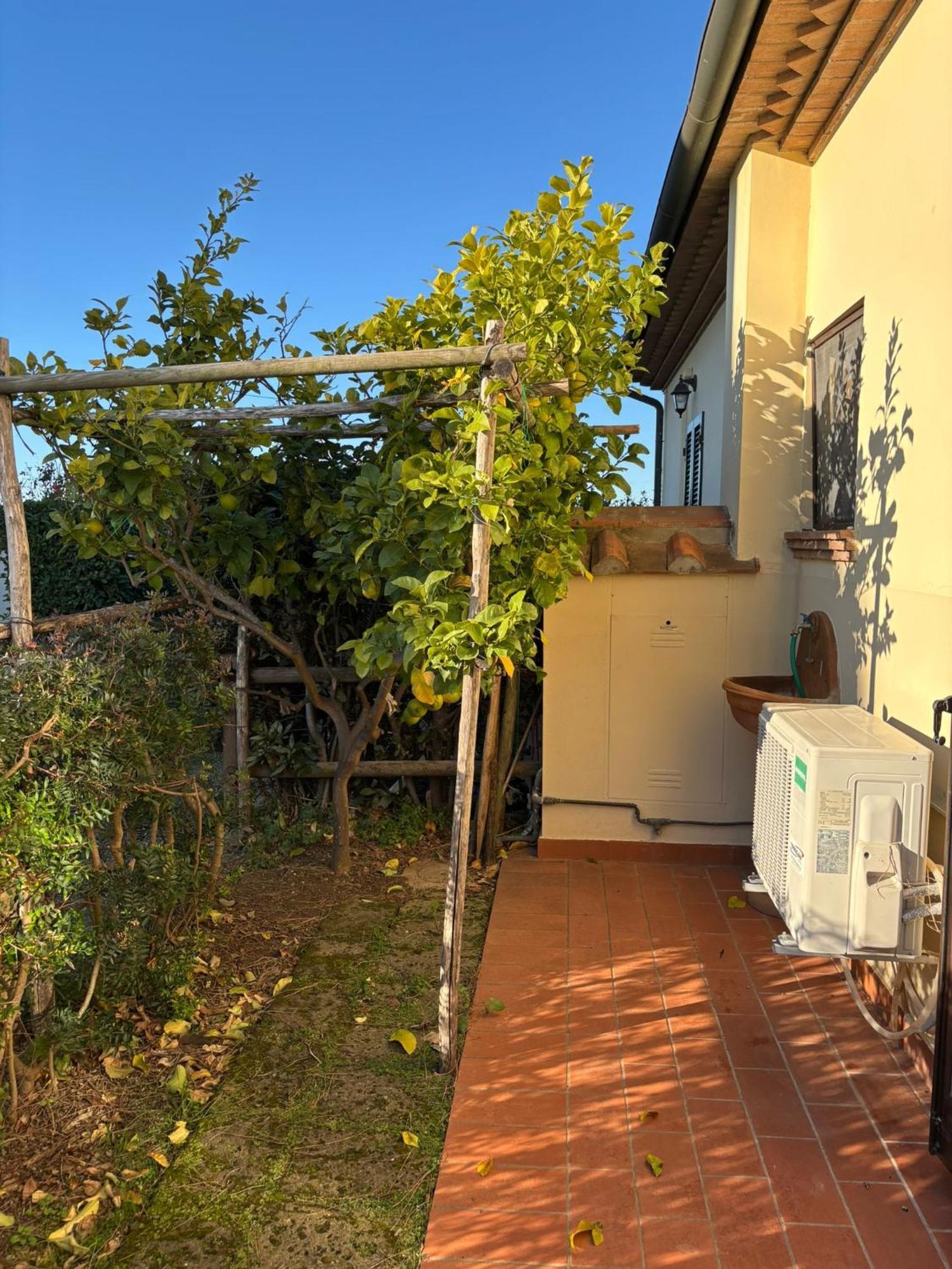 Casa "Ale" Con Piscina Comune E Bellissimo Giardino A 5 Minuti Dal Mare Cecina (Livorno) Bagian luar foto