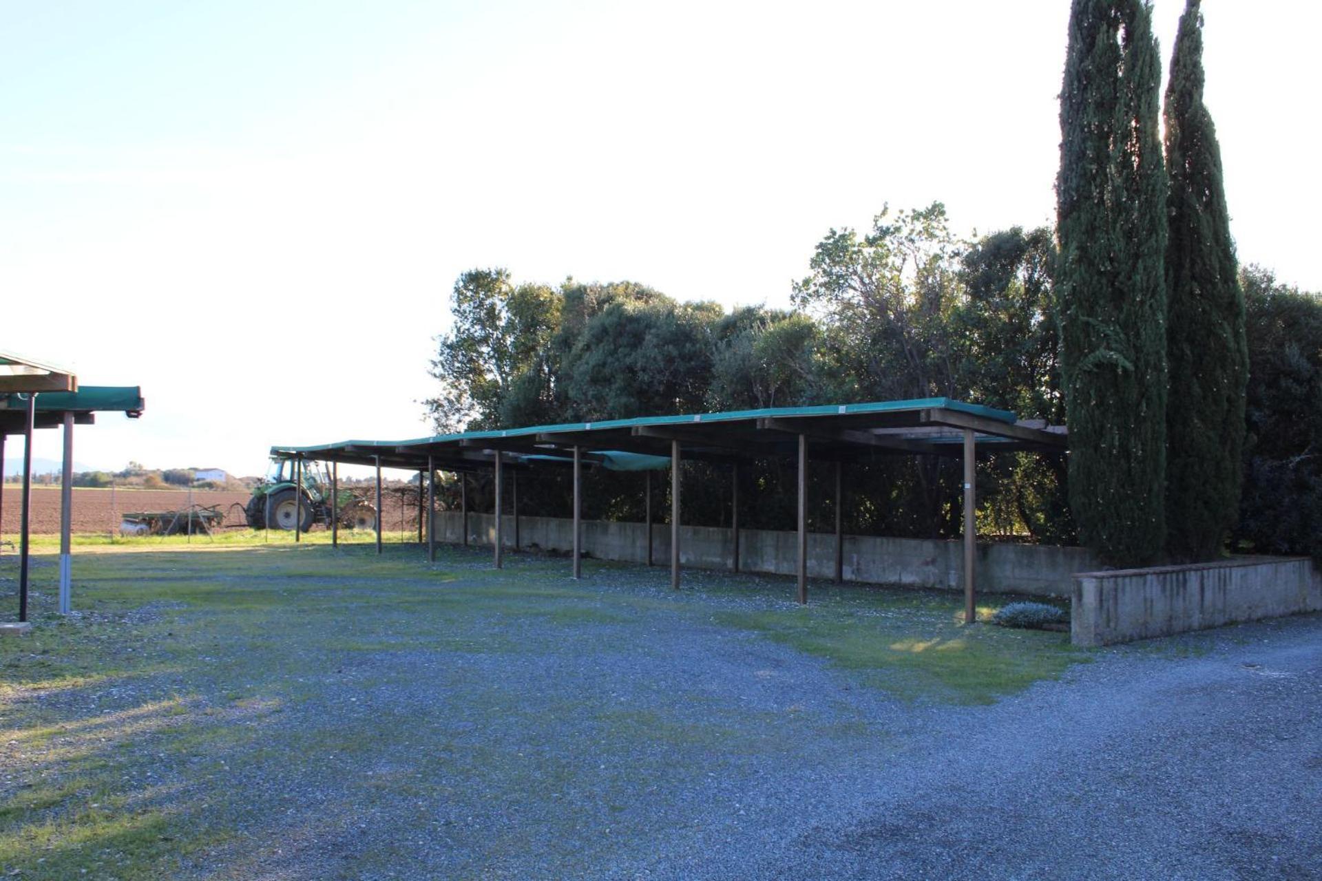 Casa "Ale" Con Piscina Comune E Bellissimo Giardino A 5 Minuti Dal Mare Cecina (Livorno) Bagian luar foto